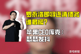 安吉企业清欠服务